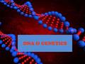 DNA & GENETICS. There are four kinds of bases in DNA: adenine guanine cytosine thymine.