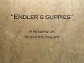 “Endler’s guppies” A reading on Scientific Inquiry A reading on Scientific Inquiry.