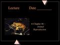 Lecture Date ________ u Chapter 46 ~ Animal Reproduction.