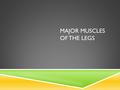 MAJOR MUSCLES OF THE LEGS. OBJECTIVE  Students will learn the muscles of the legs through oral, visual, and written applications.  Students will also.