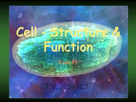 Cell - Structure & Function Unit #3. Generalized Cell Cellular level is where living processes occur. Disease processes occur at the cell level. Cancer.