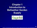 Chapter 1 Introduction to Bellwether Garden Supply Copyright © 2015 McGraw-Hill Education. All rights reserved. No reproduction or distribution without.