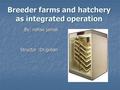 Breeder farms and hatchery as integrated operation By: nafise jamali Structor :Dr.golian.