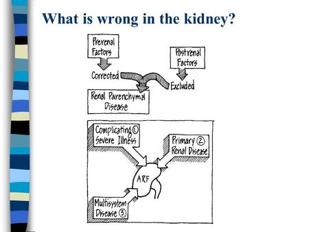 What is wrong in the kidney?. Managing ARF Avoid preventable causes of ARF Correct pre-renal factors Maintain urine flow Correct post-renal factors.