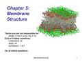 Membrane Structure1 Chapter 5: Membrane Structure Topics you are not responsible for: details of Na-K pump (fig 5-15) End of Chapter questions: Understand: