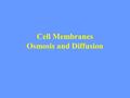 Cell Membranes Osmosis and Diffusion. Functions of Membranes 1. Protect cell 2. Control incoming and outgoing substances 3. Maintain ion concentrations.