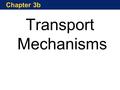 Chapter 3b Transport Mechanisms. The next series of slides describes how various types of substances move across the plasma membrane – either into a cell…or.