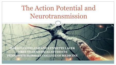 MARION COPELAND AND LYNNETTE LACEK FIRST YEAR MEDICAL STUDENTS PENN STATE HERSHEY COLLEGE OF MEDICINE The Action Potential and Neurotransmission.