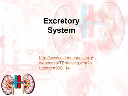 Excretory System  webpages/TErtl/living.cfm?s ubpage=908114.