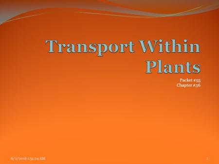 Packet #55 Chapter #36 6/2/2016 1:53:02 AM1. Reasons for Transport Within Plants Absorption of water and minerals by roots Transport of xylem sap Control.