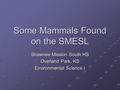 Some Mammals Found on the SMESL Shawnee Mission South HS Overland Park, KS Environmental Science I.