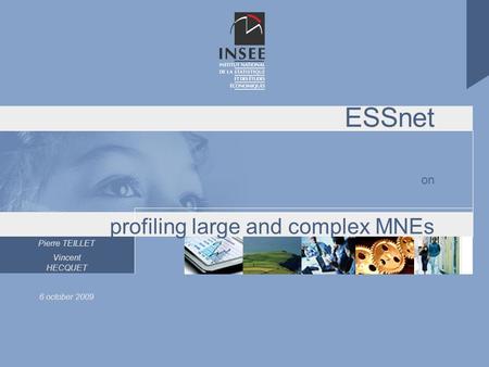 Pierre TEILLET Vincent HECQUET 6 october 2009 ESSnet on profiling large and complex MNEs.