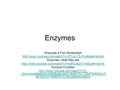 Enzymes Enzymes a Fun Introduction  Enzymes: what they are