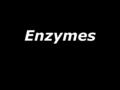 1 Enzymes This is a video, click below to see clip. If it doesn’t work, copy and paste link to see video. https://www.youtube.com/watch?v=XUn64HY5 bug.