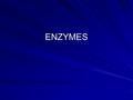 ENZYMES. Enzymes are proteins that act on a substance called a substrate. enzyme substrate -------------> product In the above reaction the enzyme's active.