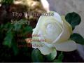 By: Mira Imperial Jessica Gonzalez Lexis Bonifacio ~THE WHITE ROSE SOCIETY~ The White Rose Society By: Mira Imperial Jessica Gonzalez Lexis Bonifacio.
