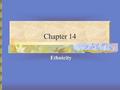 Chapter 14 Ethnicity. Chapter Questions What are some of the meanings of ethnicity and how are these used in the world today? What is the nation-state.