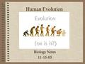 Human Evolution Biology Notes 11-15-05. Primates Ancient mammal ancestors of prosimians, monkeys, apes, and humans –Grasping hands and feet –Forward eye.