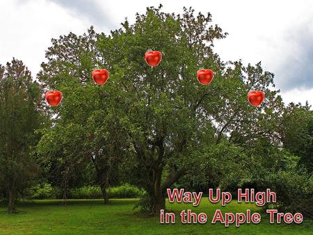 Way up high in the apple tree One red apple smiled at me I shook that tree just as hard as I could, Down came the apple, and “mmm” it was good.