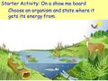 Starter Activity: On a show me board Choose an organism and state where it gets its energy from.