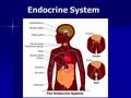 Endocrine System. Structure of the Endocrine System A network of Endocrine glands A network of Endocrine glands –Ductless (tubeless) organs or groups.