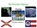 My Personal Odyssey Florida By:Kaitlyn Mikkelson.