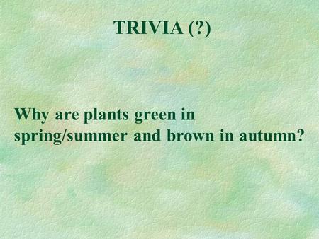 TRIVIA (?) Why are plants green in spring/summer and brown in autumn?