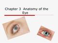 Chapter 3 Anatomy of the Eye. Sclera  The white part of the eyeball is called the sclera (say: sklair- uh). The sclera is made of a tough material.
