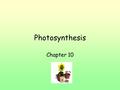 Photosynthesis Chapter 10. Plants – autotrophs (provide own food given certain circumstances) Need CO2, other inorganic (non- carbon based) materials.