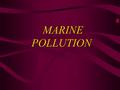 MARINE POLLUTION MARINE POLLUTION INTRODUCTION  Pollution in ocean is a major problem that is affecting the ocean and the rest of the Earth, too. 
