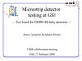 — Test board for CBM01B2 baby detectors — Anton Lymanets & Johann Heuser CBM collaboration meeting GSI, 27 February 2008 Microstrip detector testing at.