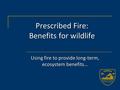Prescribed Fire: Benefits for wildlife Using fire to provide long-term, ecosystem benefits…