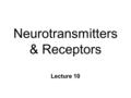 Neurotransmitters & Receptors Lecture 10. Ligands & Receptors n Ligand l Neurotransmitters (NT) & Drugs n Receptor proteins l Control ion channels n NT.