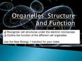 Recognise cell structures under the electron microscope  Outline the function of the different cell organelles Use the New Biology 1 handout for your.