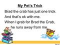 My Pet’s Trick Brad the crab has just one trick. And that’s ok with me. When I grab for Brad the Crab, he runs away from me.