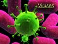 Viruses. Are viruses living?  No! They are non-living but they depend on the living.
