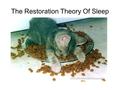 The Restoration Theory Of Sleep. The function of sleep is to allow the body to be repaired/ restored.