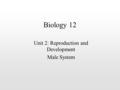 Biology 12 Unit 2: Reproduction and Development Male System.