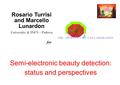 PPR meeting 13.12.2002 Marcello Lunardon 1 Semi-electronic beauty detection: status and perspectives THE COLLABORATION Rosario Turrisi and Marcello Lunardon.