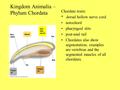 Kingdom Animalia – Phylum Chordata Chordate traits: * dorsal hollow nerve cord notochord pharyngeal slits post-anal tail Chordates also show segmentation;
