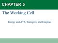 CHAPTER 5 The Working Cell Energy and ATP, Transport, and Enzymes.