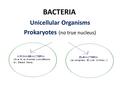 BACTERIA Unicellular Organisms Prokaryotes (no true nucleus)