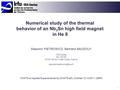 1 Numerical study of the thermal behavior of an Nb 3 Sn high field magnet in He II Slawomir PIETROWICZ, Bertrand BAUDOUY CEA Saclay Irfu, SACM 91191 Gif-sur-Yvette.