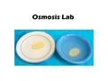 Osmosis Lab. Definition of Osmosis WATER moves from an area of HIGH to LOW concentration across a semipermeable membrane.