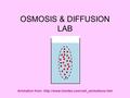 OSMOSIS & DIFFUSION LAB Animation from: