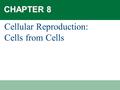 CHAPTER 8 Cellular Reproduction: Cells from Cells.