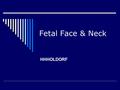 Fetal Face & Neck HHHOLDORF. Normal Anatomy  Face:  Evaluation of the face is a vital part of the clinical genetic examination that is performed post-natally.