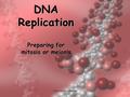 1 DNA Replication Preparing for mitosis or meiosis copyright cmassengale.