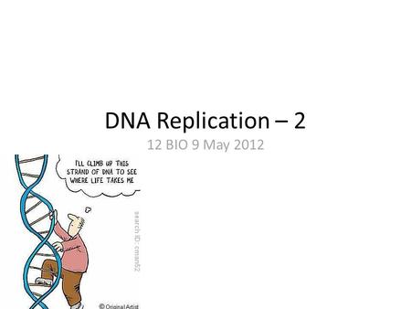 DNA Replication – 2 12 BIO 9 May 2012. Matching terms - Quiz 1.the outcome of DNA replication 2.half of each replicated DNA is ‘parent’ DNA 3.the replication.