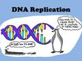 DNA Replication. Supercoiled DNA Why do we need more DNA? Each new cell that is created, needs its own set of DNA.